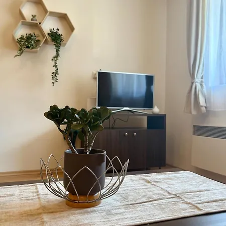 Vlado's Place Home2host * Bansko